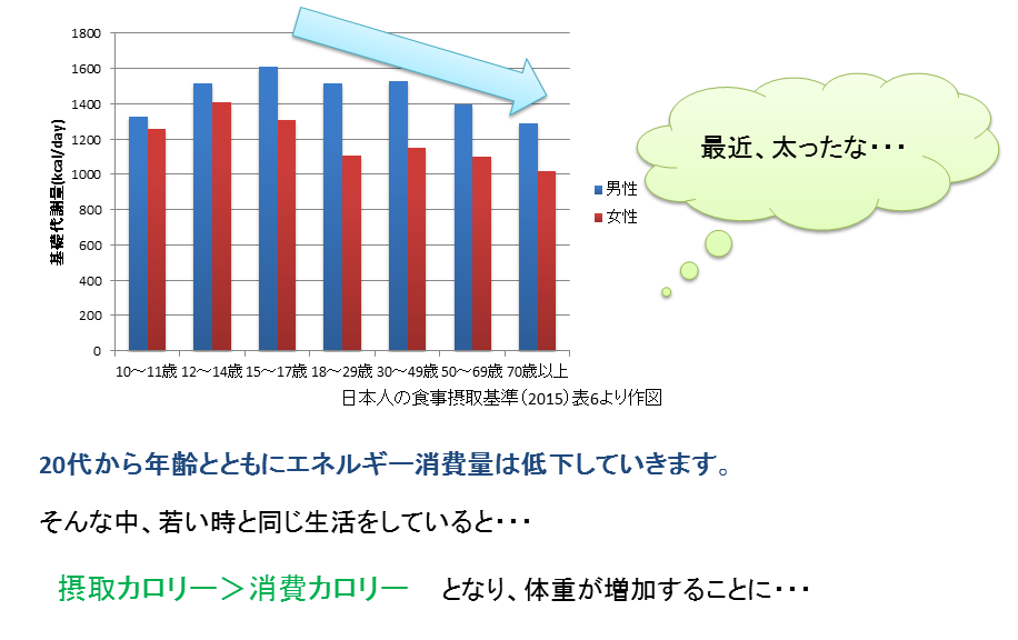 基礎代謝は年齢とともに低下していきます