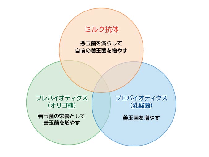 腸内フローラ