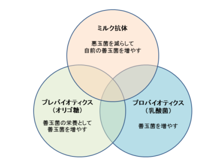 方法 減らす 菌 悪玉 を